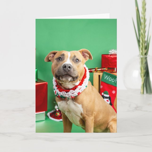 Cartão de Natal (Frente)