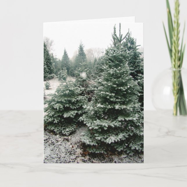 Cartão de Natal (Frente)