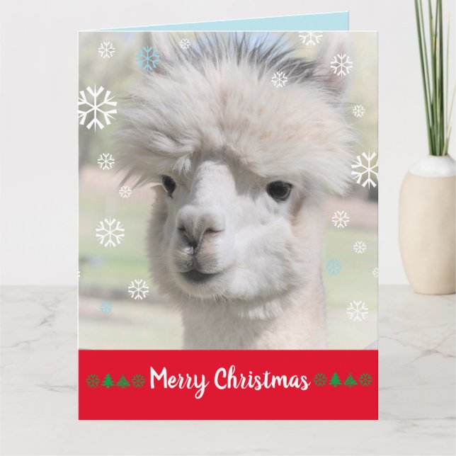 Cartão de Natal Alegre Alpaca de Neve (Frente)