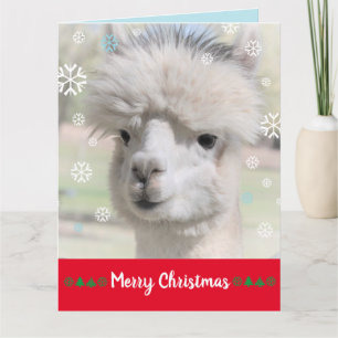 Cartão de Natal Alegre Alpaca de Neve