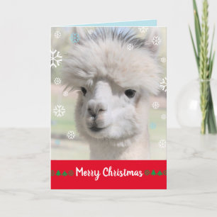Cartão de Natal Alegre da Alpaca de Neve