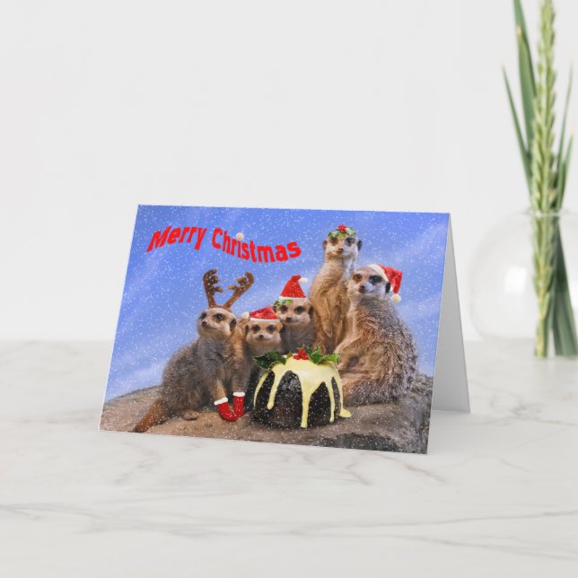 Cartão de Natal alegre de Meerkats (Frente)