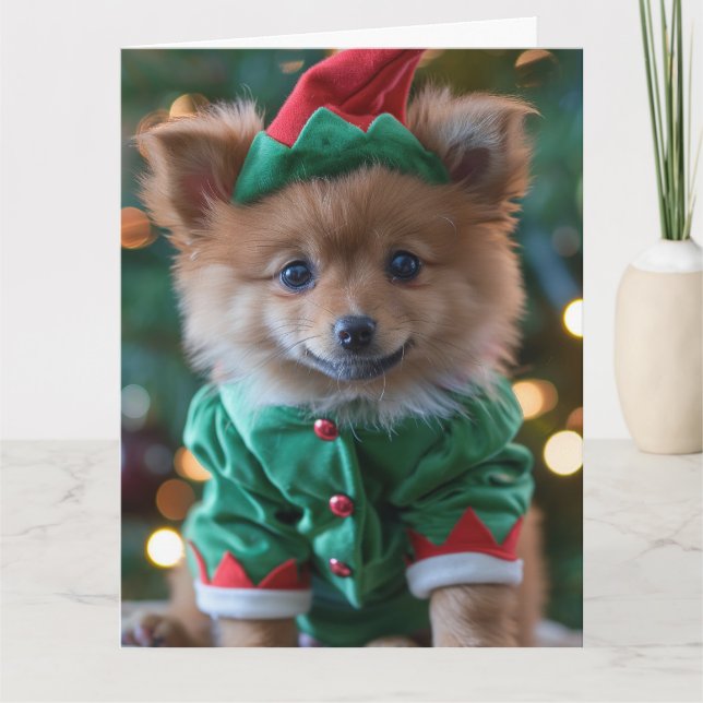 Cartão de Natal Alemão Spitz Elf (Frente)