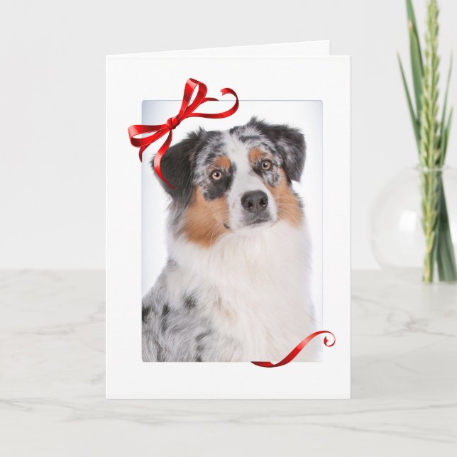 Cartão de Natal Aussie (Frente)