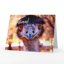 Cartão de Natal australiano gigante EMU