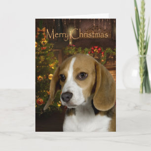 Cartão de Natal Beagle