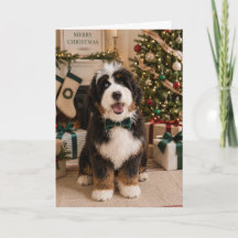 Cartão de Natal Bernedoodle