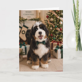 Cartão de Natal Bernedoodle