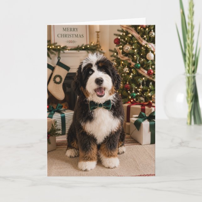 Cartão de Natal Bernedoodle (Frente)