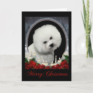 Cartão de Natal Bichon