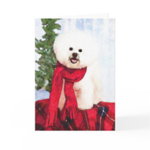 Cartão de Natal Bichon Frise
