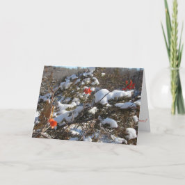 Cartão de Natal "Blossomo de inverno"