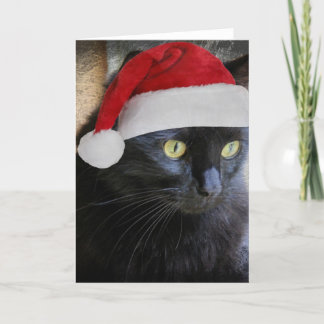 Cartão de Natal bonito, Bonito Gato Preto com Boné