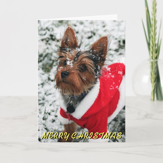 Cartão de Natal bonito de Yorkie (Frente)