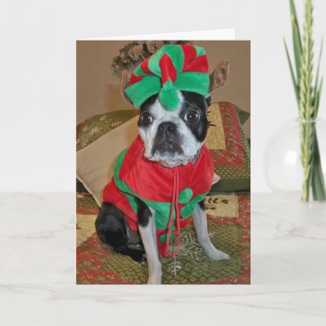 Cartão de Natal Boston Terrier Elf (Frente)