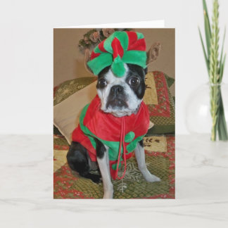Cartão de Natal Boston Terrier Elf