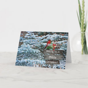 Cartão de Natal Cardeal Pine Trees Snow