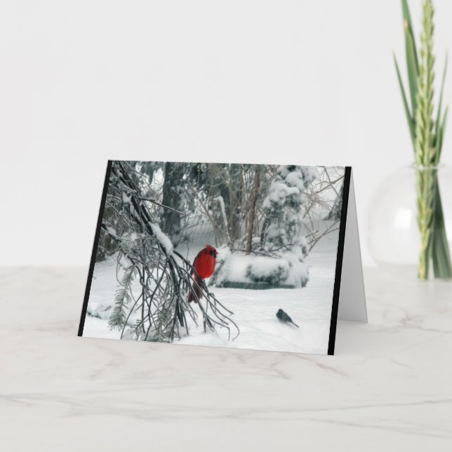 Cartão de Natal cardinal nevado (Frente)