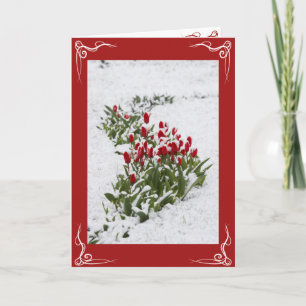 Cartão de Natal - Cartão de Cartões de natal