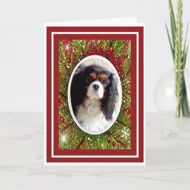 Cartão de Natal Cavalier King Charles Spaniel (Frente)