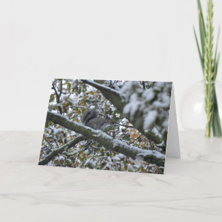 Cartão de Natal cinzento do esquilo