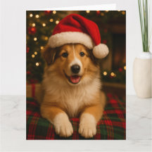Cartão de Natal Collie