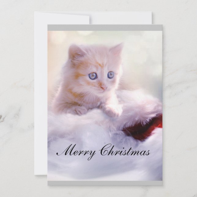 Cartão de Natal com gato. (Frente)