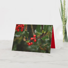Cartão de Natal com holly