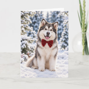 Cartão de Natal com Laço Vermelho de Malamute do A