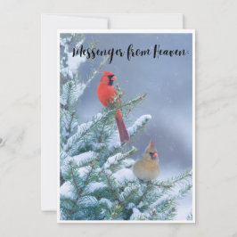 Cartão de Natal com um Cardeal Vermelho