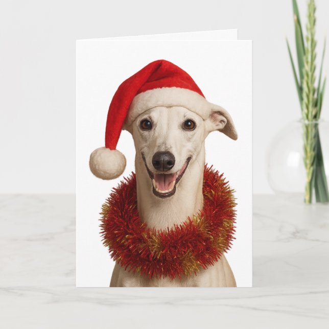 Cartão de Natal com Whippet de chapéu de Papai Noe (Frente)