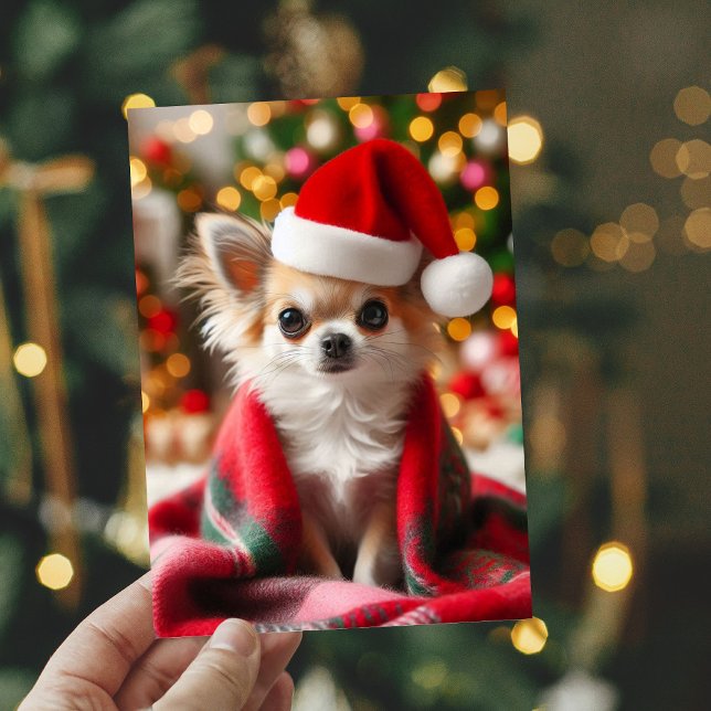 Cartão de Natal Cozy Chihuahua (Criador carregado)