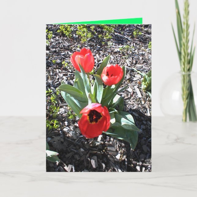 Cartão de Natal cristão para a pessoa bereaved (Frente)