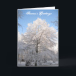 Cartão de Natal da árvore da neve<br><div class="desc">A beleza do inverno é capturada em uma queda de neve rara de Geórgia e em um carvalho do sul bonito.</div>