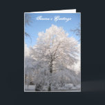 Cartão de Natal da árvore da neve<br><div class="desc">A beleza do inverno é capturada em uma queda de neve rara de Geórgia e em um carvalho do sul bonito.</div>