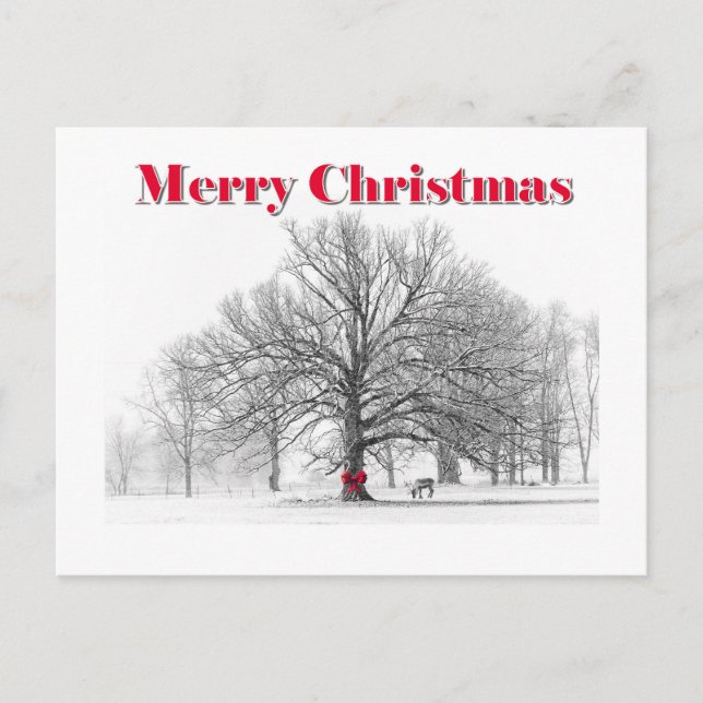 Cartão de Natal da Cena de Inverno (Cartão Postal) (Frente)