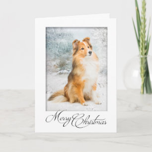 Cartão de Natal da doce Sheltie