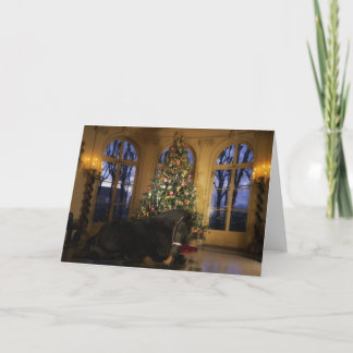 Cartão de Natal da égua do frisão