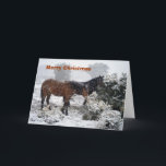 cartão de Natal da Pônei-em-tempestade de neve<br><div class="desc">Cartão de Natal com a foto dos pôneis na tempestade de neve dos fotos novos da floresta</div>