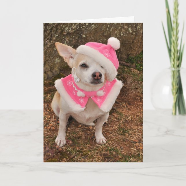 Cartão de Natal da Sra. Claus (Frente)