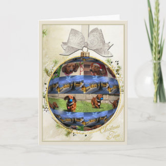 Cartão de Natal Dachshund