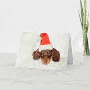 Cartão de Natal Dachshund