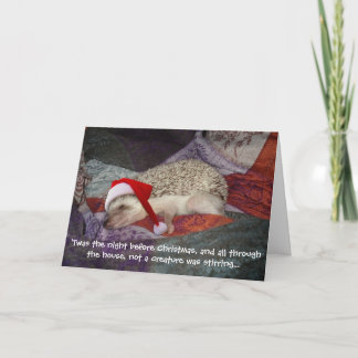 Cartão de Natal de 2006