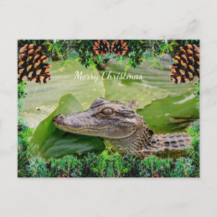 Cartão de Natal de Alligator