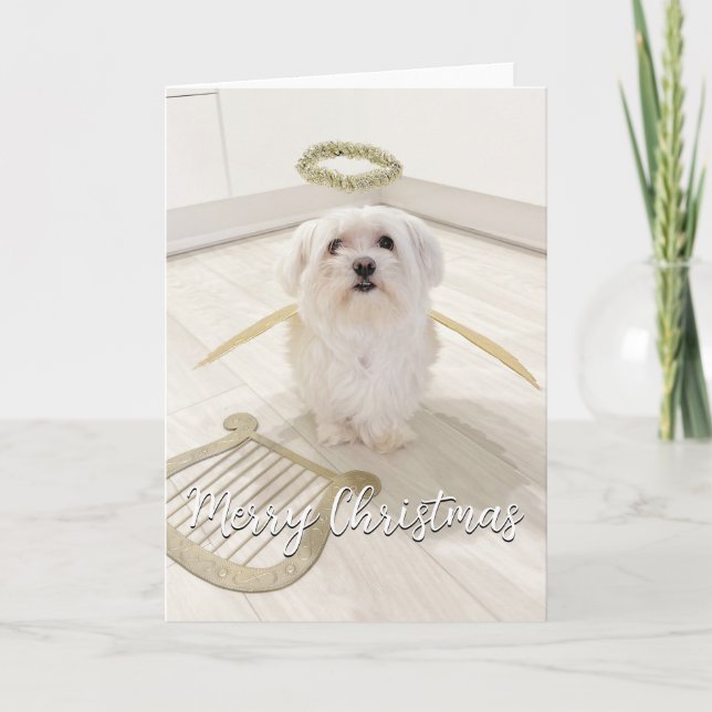 Cartão de Natal de Anjo de Cachorro Maltês Elegant (Frente)