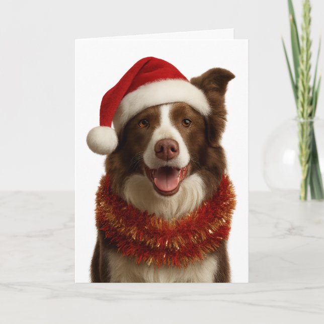 Cartão de Natal de Border Collie vermelho e branco (Frente)