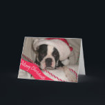 Cartão de Natal de Boston Terrier<br><div class="desc">Cartão de Natal com uma Boston Terrier desejando lhe o Feliz Natal.  O texto dentro do cartão pode ser personalizado ao seu gosto.</div>