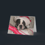 Cartão de Natal de Boston Terrier<br><div class="desc">Cartão de Natal com uma Boston Terrier desejando lhe o Feliz Natal.  O texto dentro do cartão pode ser personalizado ao seu gosto.</div>