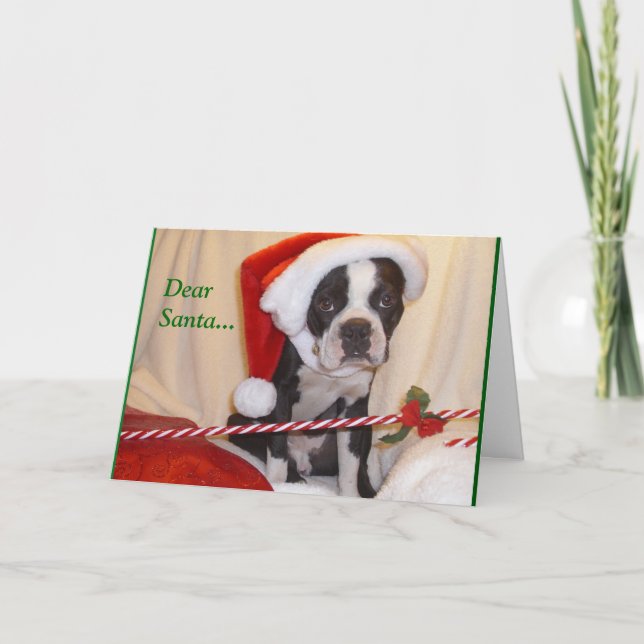 Cartão de Natal de Boston Terrier (Frente)