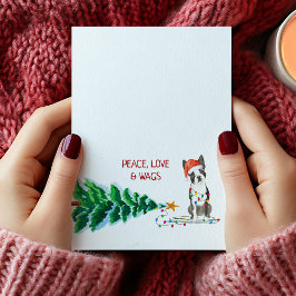 Cartão de Natal de Boston Terrier